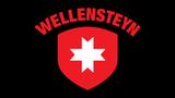 Logo: Wellensteyn