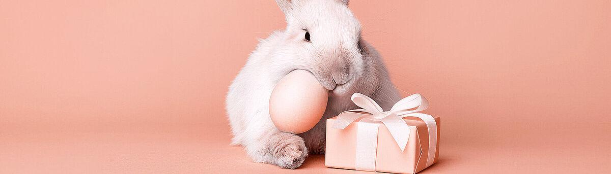 Unsere bunte Osterzeit