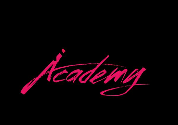Flying Steps Academy