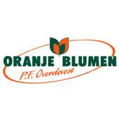 Oranje Blumen